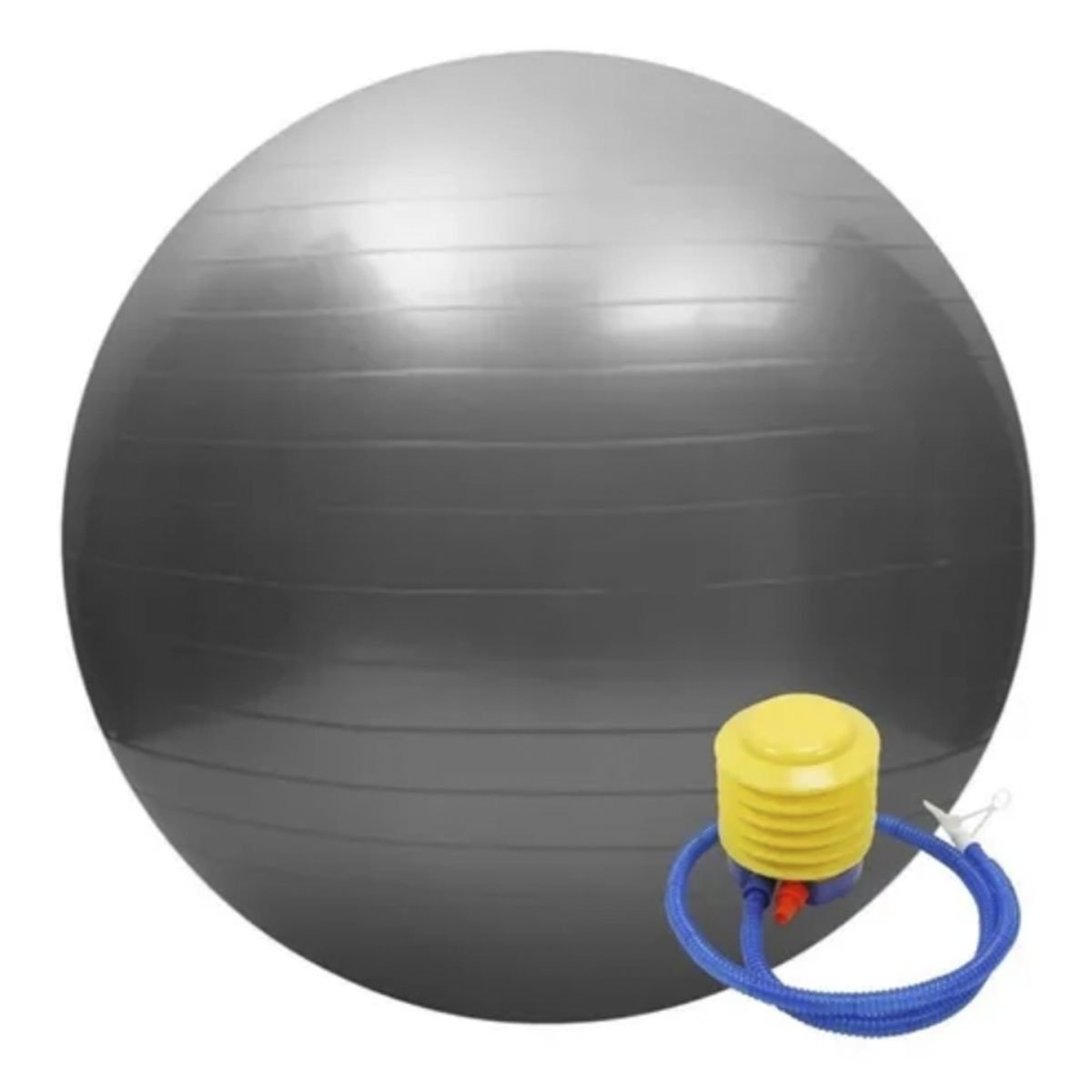 Bola Ginástica Profissional - Gym Ball 65cm - MB Fit